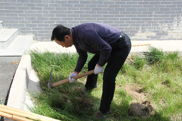 太阳成师生到贺阳国际中小学参加劳动