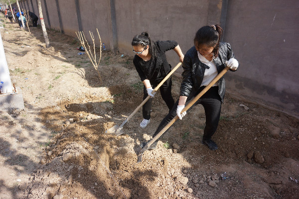 太阳成师生到贺阳国际中小学参加劳动