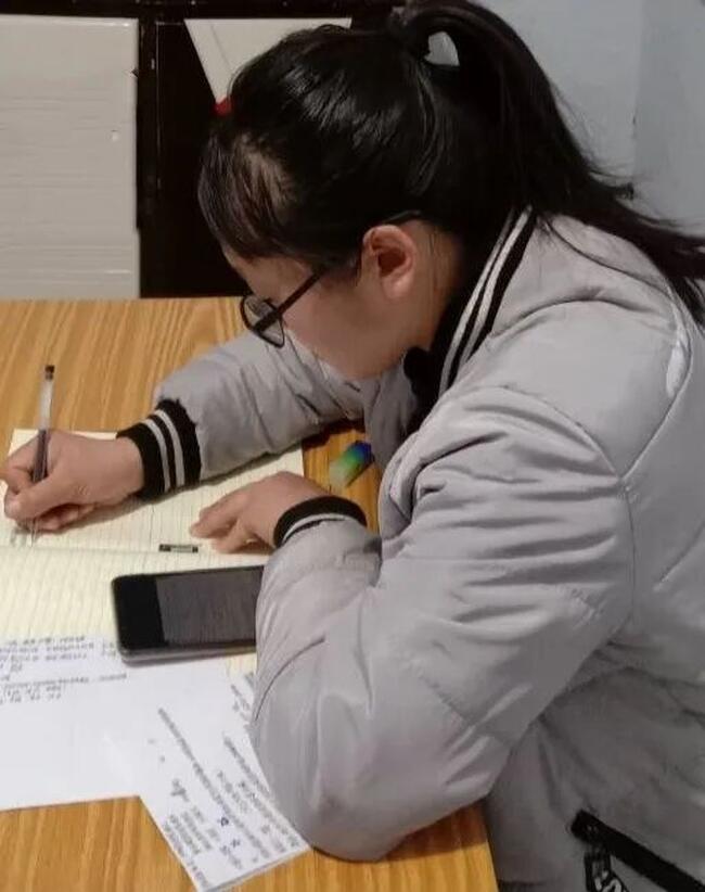 梅花香自苦寒来---太阳成杜鹃同学网课学习纪实