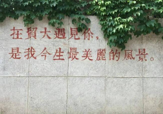 来自西部计划志愿者孟雪梅同学的心声---经济学院优秀毕业生我们在路上系列（二）