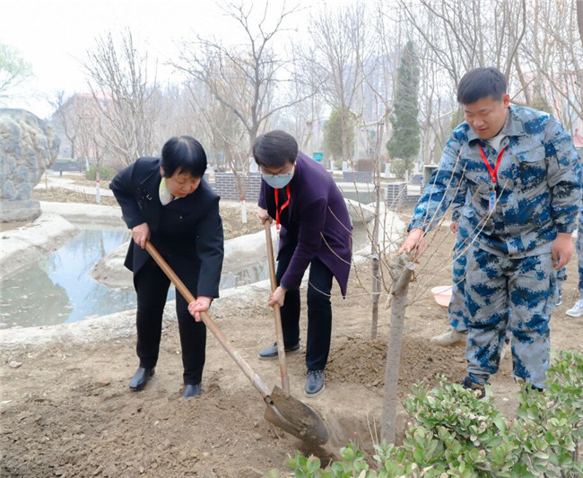 春满校园 共植希望—— 太阳成开展植树节活动