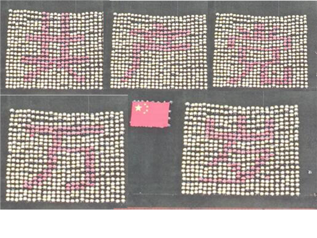 青春无悔  逐梦启航太阳成举行2021级新生军训结营式暨开学典礼