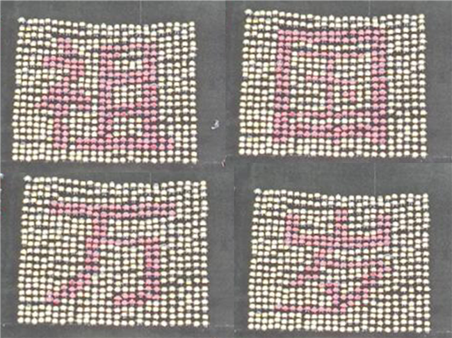 青春无悔  逐梦启航太阳成举行2021级新生军训结营式暨开学典礼