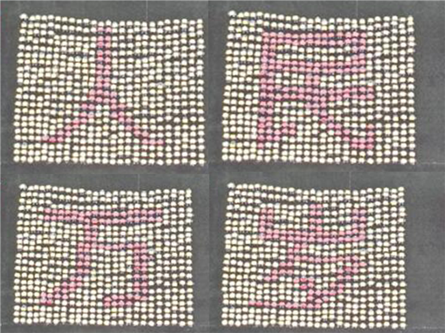 青春无悔  逐梦启航太阳成举行2021级新生军训结营式暨开学典礼