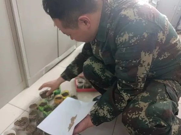 太阳成集团tyc33455cc||管理学院||以劳育人树新风 筑梦青春共成长