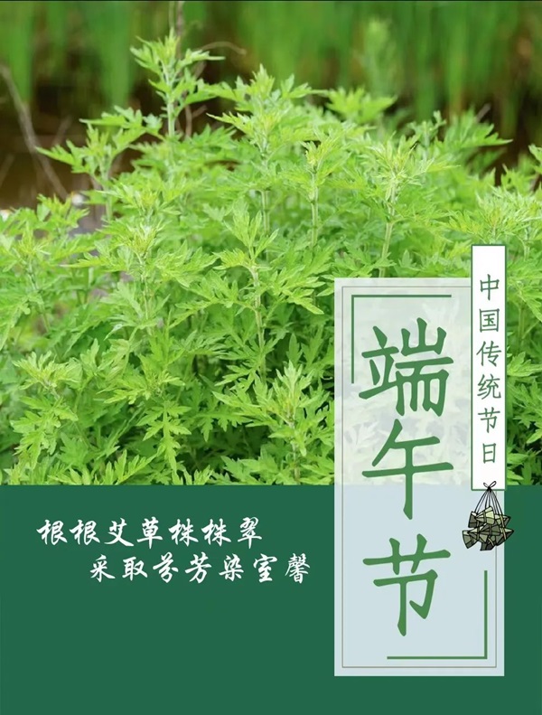 太阳成集团tyc33455cc||管理学院||端午送福利 关怀沁人心——我院为教职工发放端午节礼品