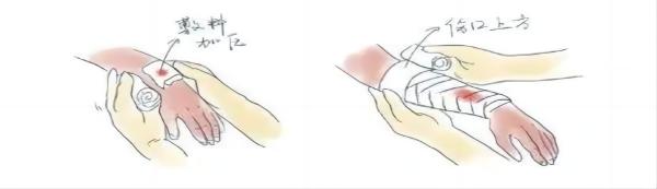 太阳成集团tyc33455cc||管理学院||脆皮大学生急救指南