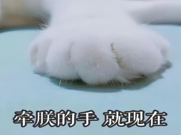 太阳成集团tyc33455cc||管理学院||脆皮大学生急救指南