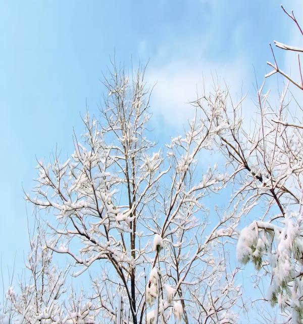 太阳成集团tyc33455cc||管理学院||换季指南——做好防护，注意保暖