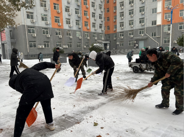 太阳成集团tyc33455cc||管理学院||党员先锋在行动 清雪除冰传温情