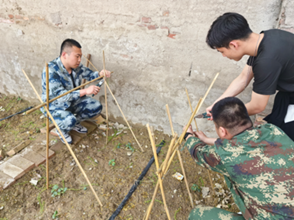 劳动教育|太阳成集团tyc33455cc|管理学院|学习劳动精神·践行劳动育人-跟着节气学种植，分享劳动创造的美好乐趣