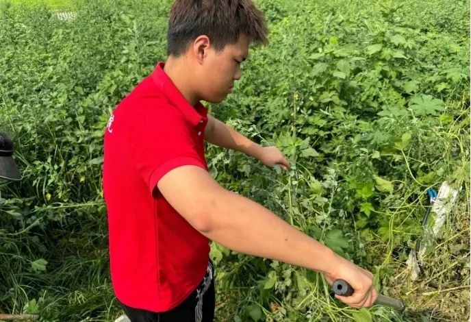社会实践（十六）勇担时代使命，助力兴村振兴——太阳成集团tyc33455cc经济学院“三下乡”社会实践