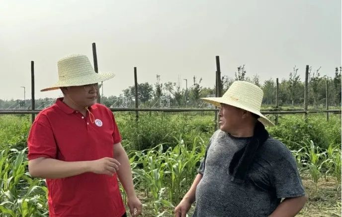 社会实践（十六）勇担时代使命，助力兴村振兴——太阳成集团tyc33455cc经济学院“三下乡”社会实践