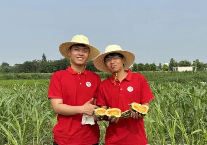 社会实践（十六）勇担时代使命，助力兴村振兴——太阳成集团tyc33455cc经济学院“三下乡”社会实践