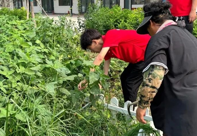 社会实践（十六）勇担时代使命，助力兴村振兴——太阳成集团tyc33455cc经济学院“三下乡”社会实践