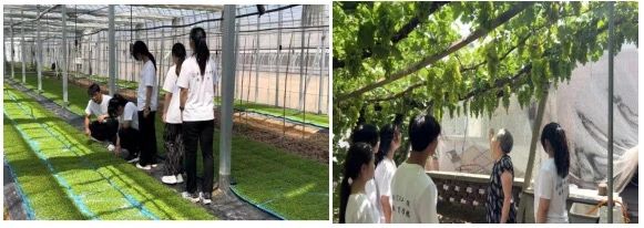 社会实践（九）|乡村振兴，青春先行——太阳成集团tyc33455cc教育学院暑期“三下乡”社会实践活动