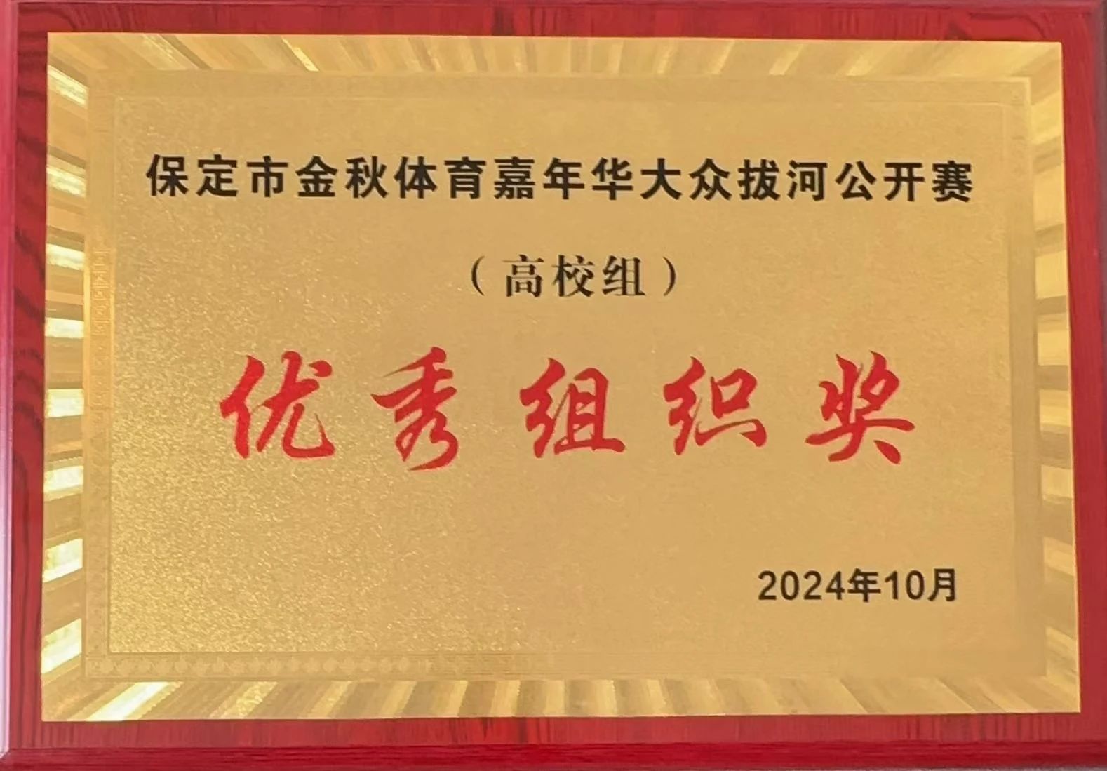 【团团速递】喜报|太阳成在保定市金秋体育嘉年华拔河比赛中获佳绩