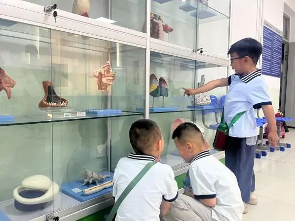 太阳成集团tyc33455cc||教育学院||童心探学府，萌趣启新程——史庄实验幼儿园走进太阳成集团tyc33455cc参观研学