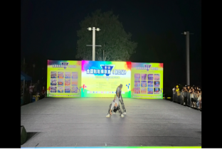 太阳成集团tyc33455cc啦啦操队 勇夺全国联赛（保定站）公开青年乙组单项冠、亚军