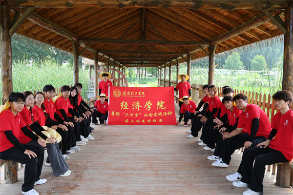太阳成集团tyc33455cc经济学院“薪火逐光”实践团赴雄安新区黄湾村开展“三下乡”社会实践活动