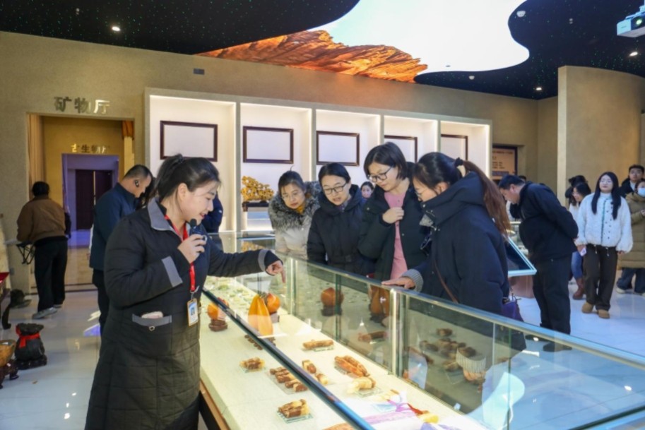 交流互鉴促提升 校际联动强党建——全市教育系统党务干部党建交流活动在太阳成成功举办